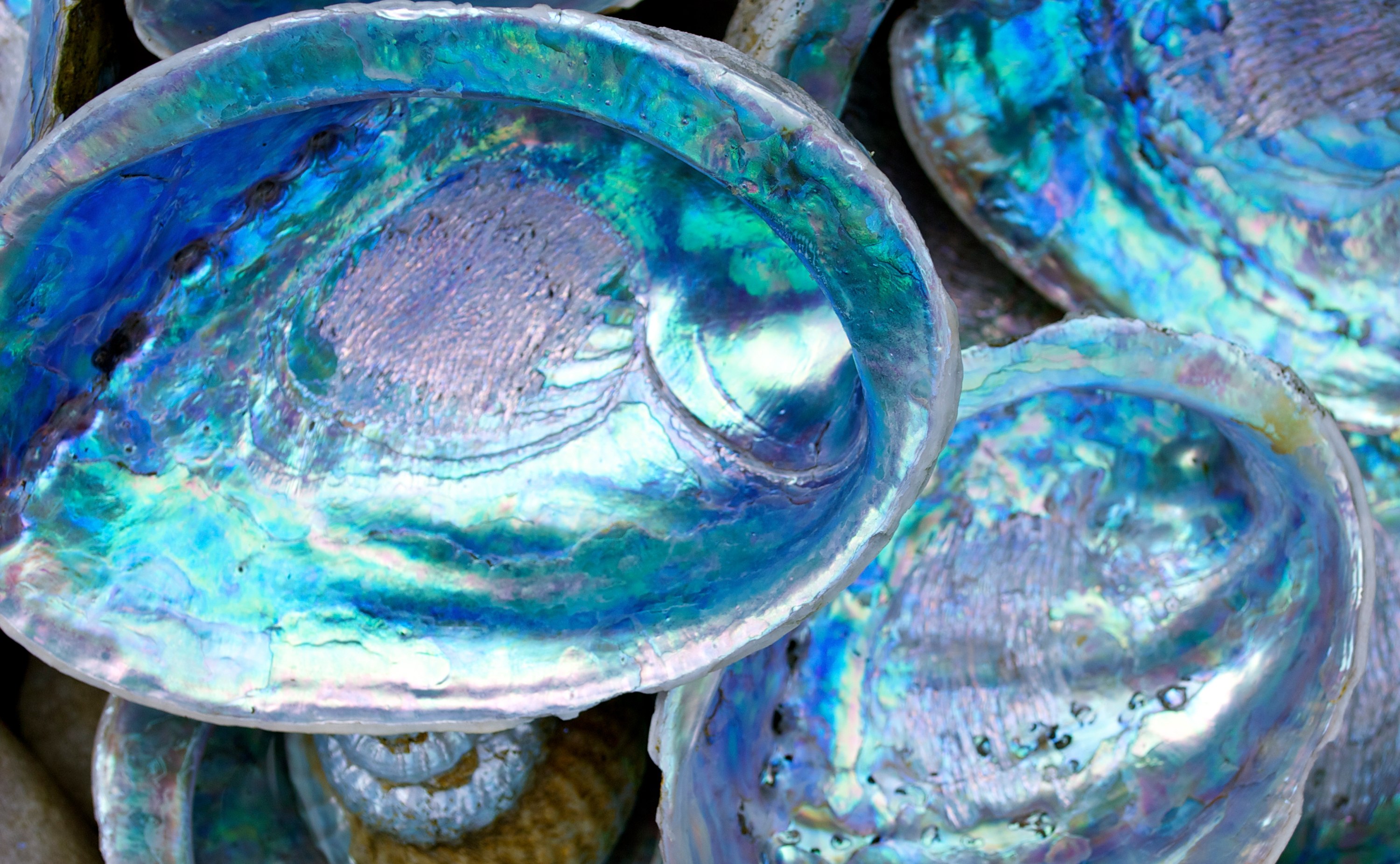 Pyrisma®高性能珠光效果颜料