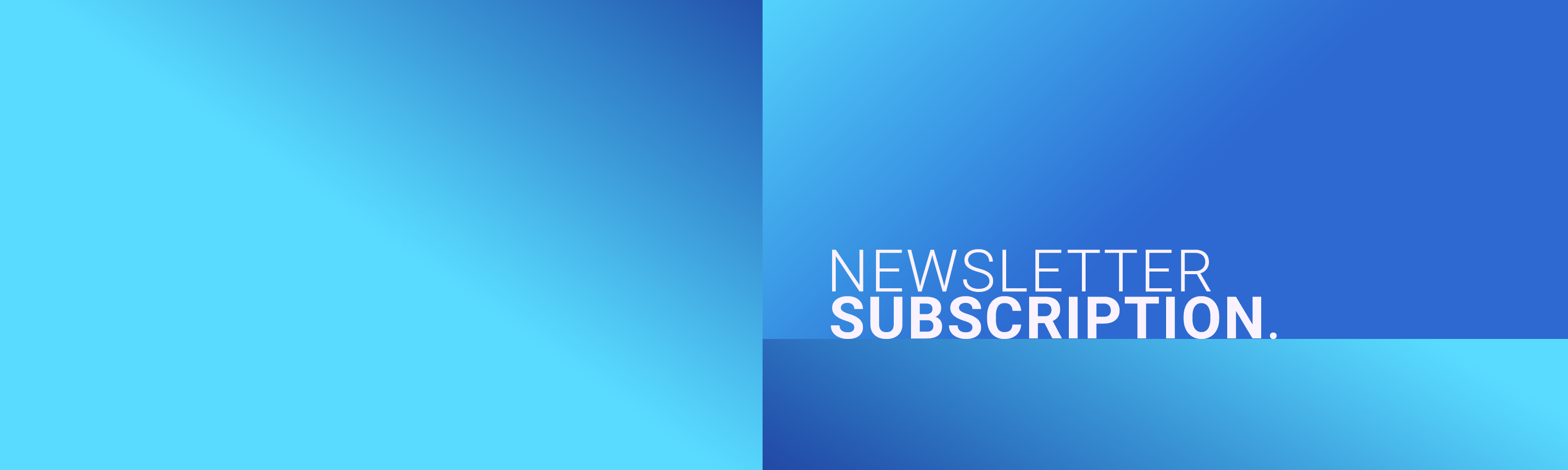 newsletter subscription