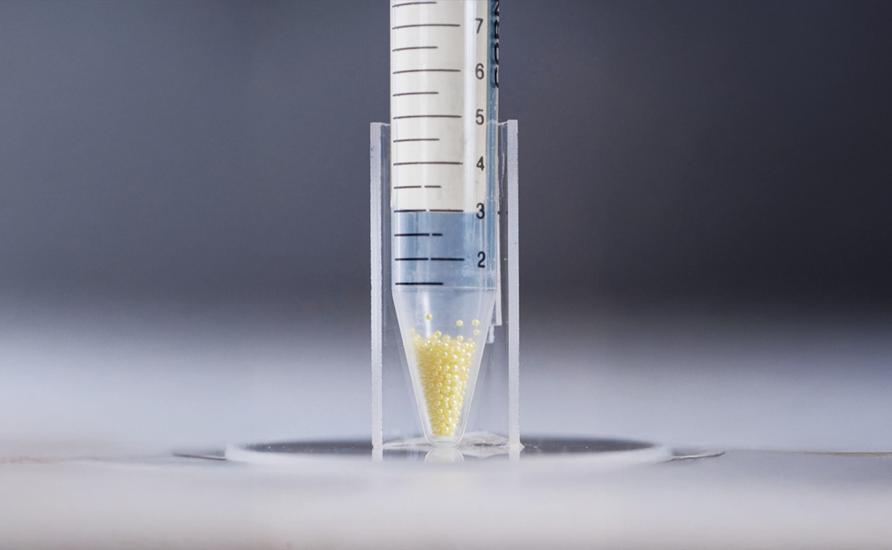 Metal Halides