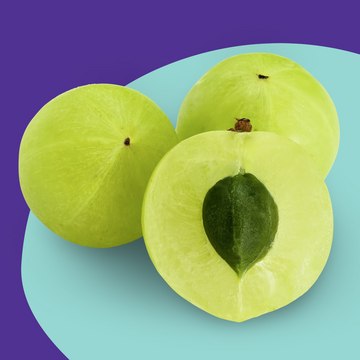 Emblica&#174; anti-pollution, antioxidant, anti-aging, brightening, active ingredient, skin care